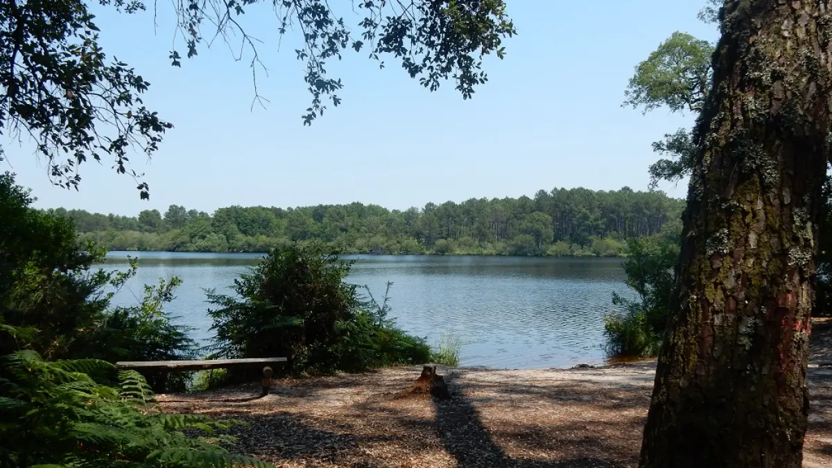 Etang de Moliets