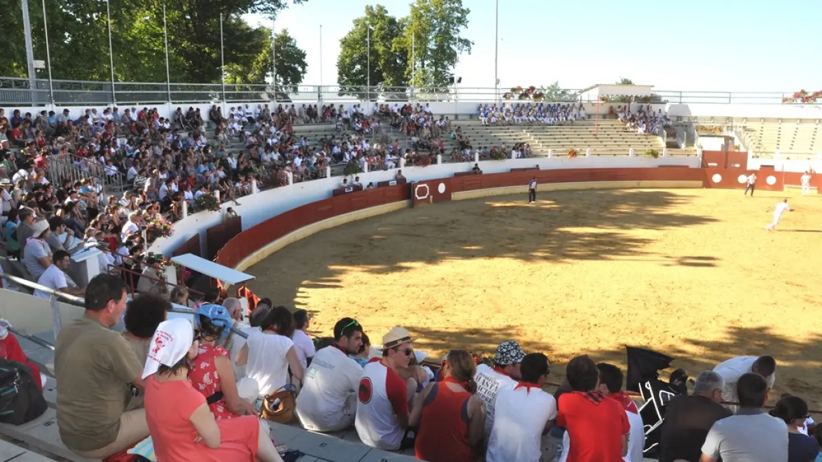 Course Landaise et jeux d'arènes