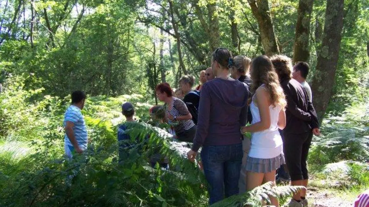 Balade nature en forêt Landaise
