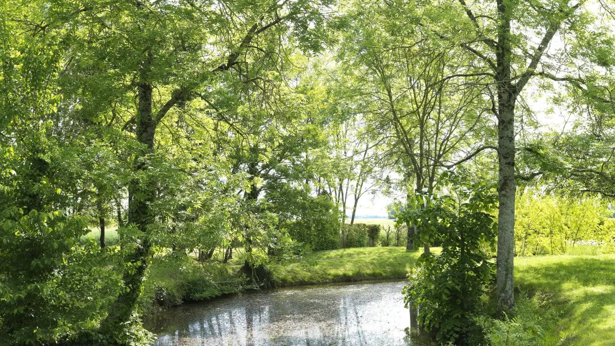 Randonnée Morand - parcours du château