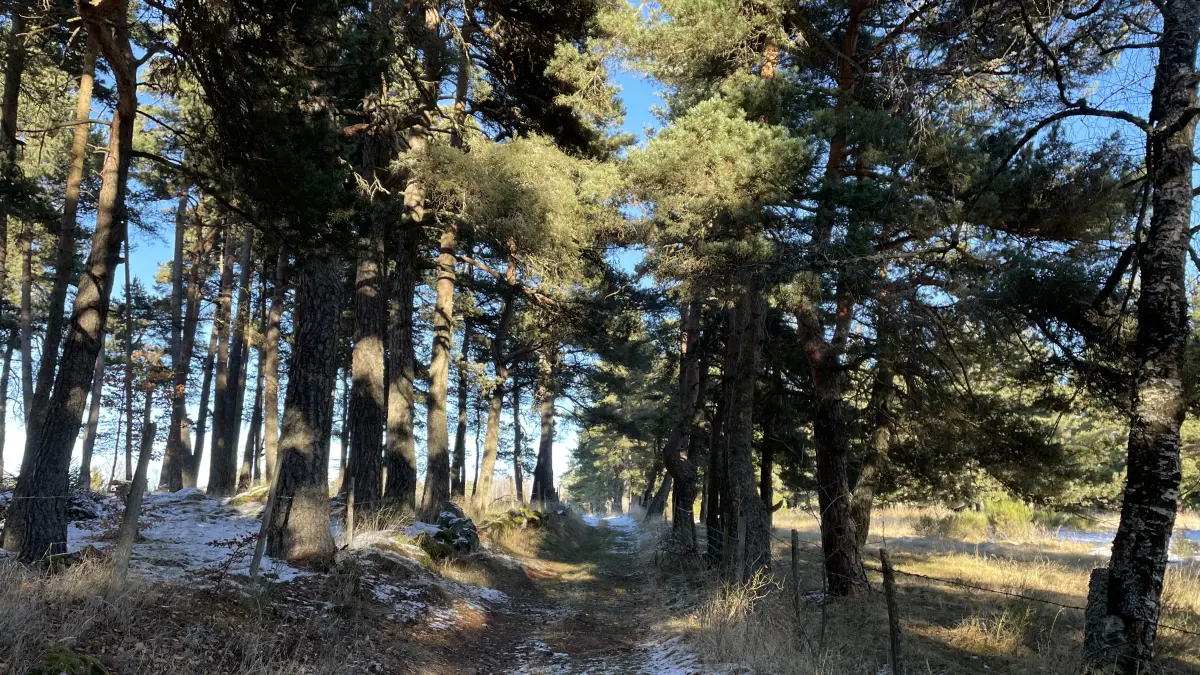 Circuit de Rocles - VTT n°4