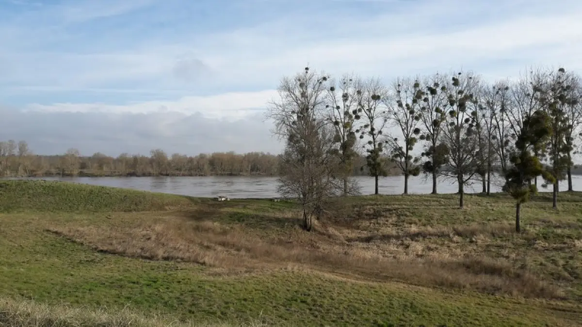 Aire de pique-nique du Fer à Cheval d'Ouvrouër-les-Champs