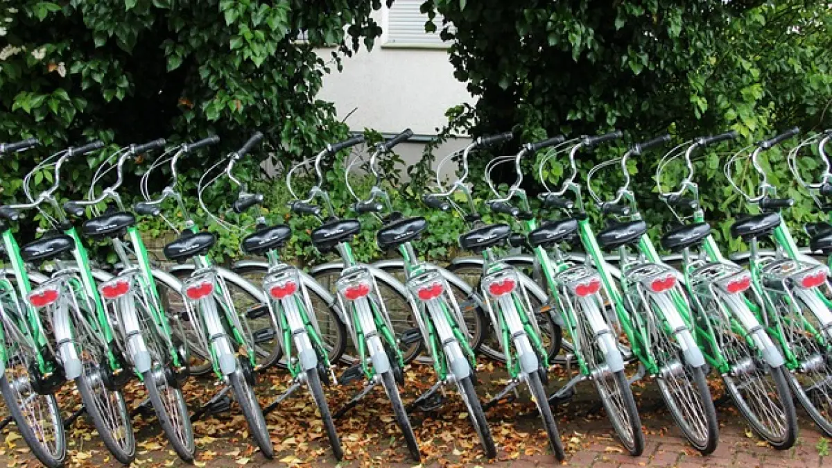 Location de vélos - Camping Touristique de Gien