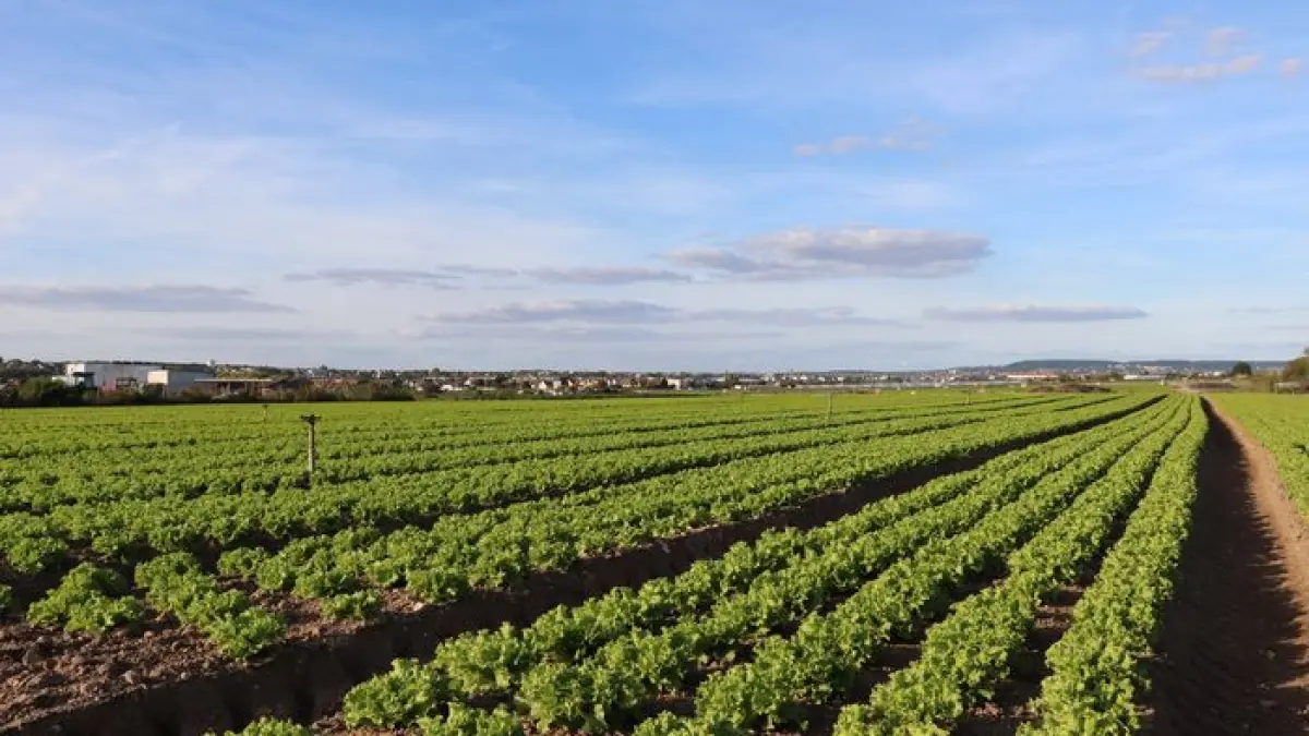 Les multiples facettes de la Plaine de Montesson