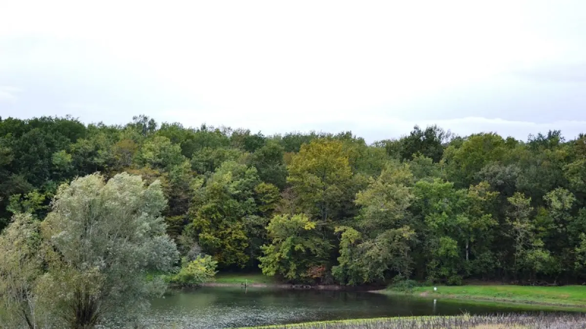 Etang de pêche Jocal