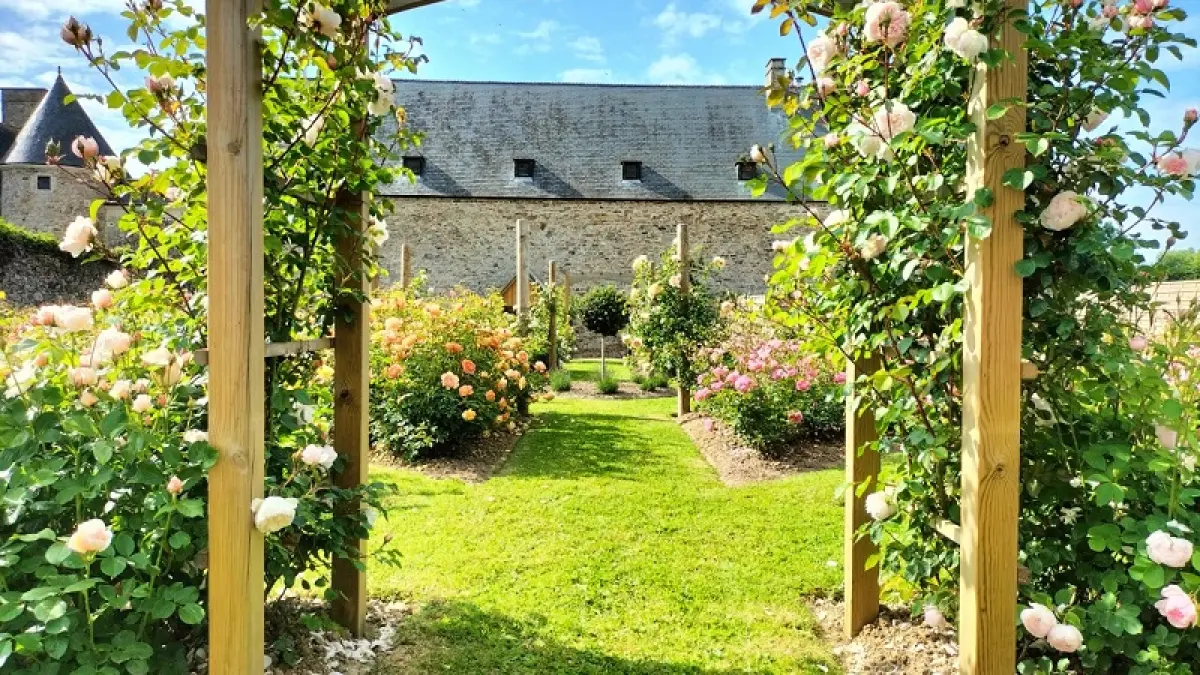 Roseraie "David Austin" du Château de Montfort