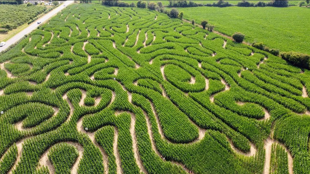 Labyrinthe végétal du Cotentin > La Clé des Champs