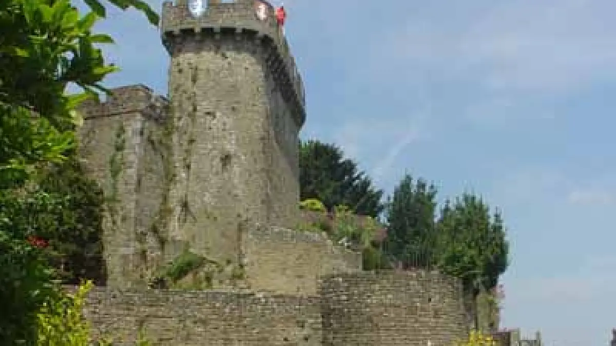 Donjon et Courtine