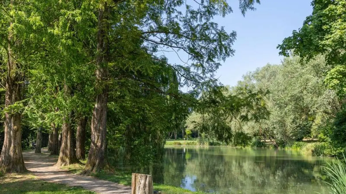 Parc de l'Embanie