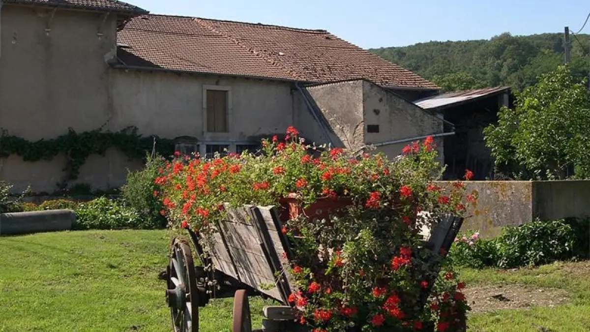 Espace naturel sensible la Mortagne au fil de l'eau