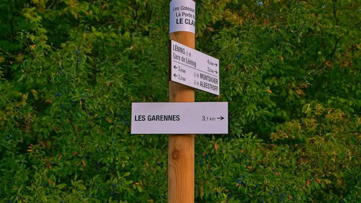 Liaison boucle de Sainte-Anne - les coteaux d'Albestroff