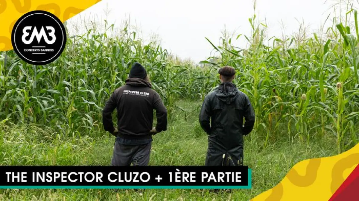 The Inspector Cluzo + 1ère partie