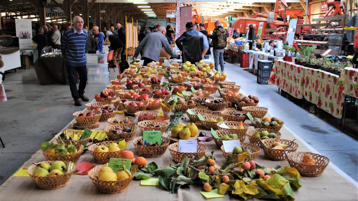Marché du Terroir au MUMAR (Musée de la Machine Agricole)