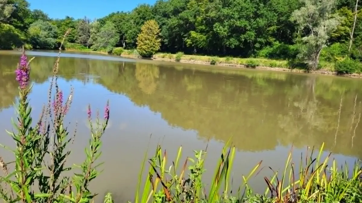 Etang de pêche - La Chênaie