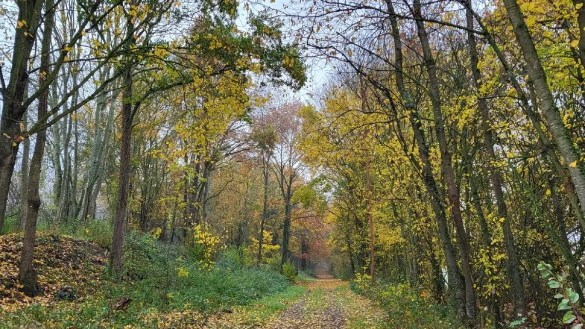 Coulée verte Crévecoeur-le-Grand à Croissy-sur-Celle