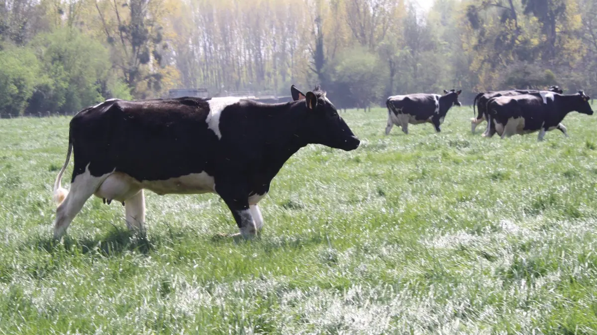 La Ferme Paul