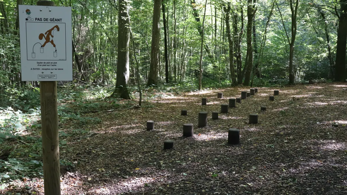 Bois Magneux et de Fau Timon