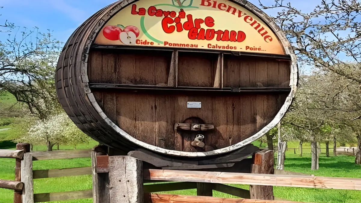 La Cave à Cidre GAUTARD