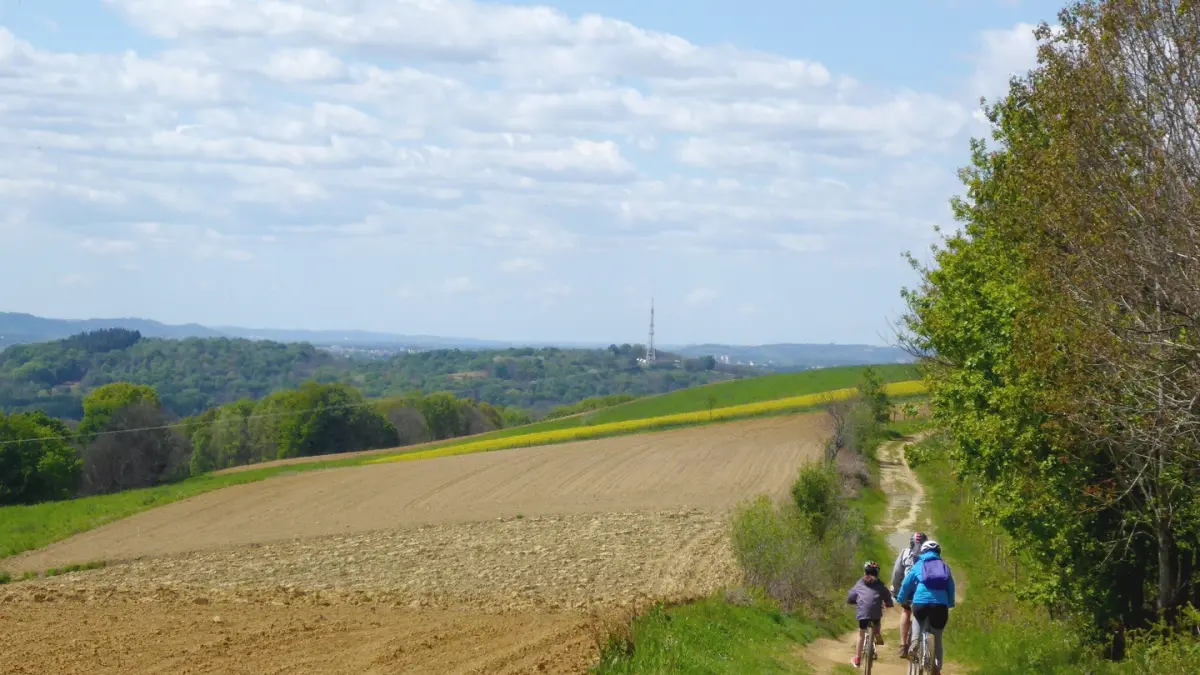 VTT 5 Le chemin Henri IV