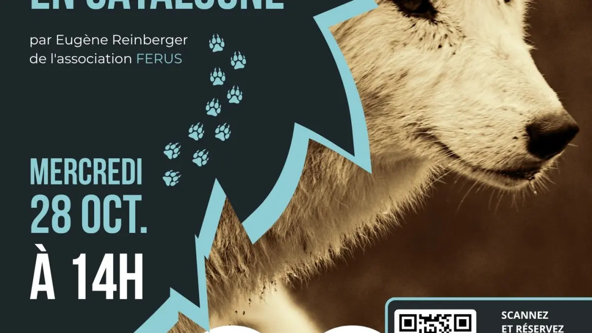 ATELIER SUR LES TRACES DES LOUPS