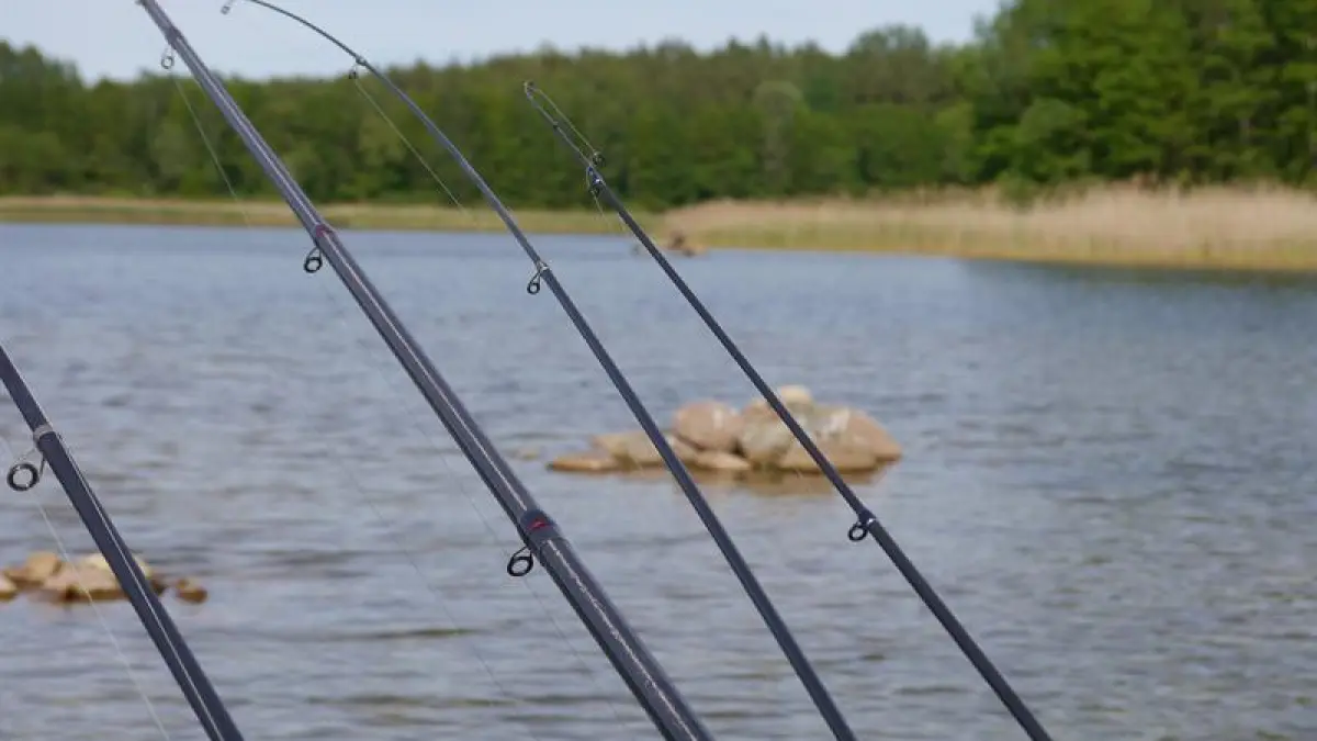 Pêche : étangs du Nonnenbruch