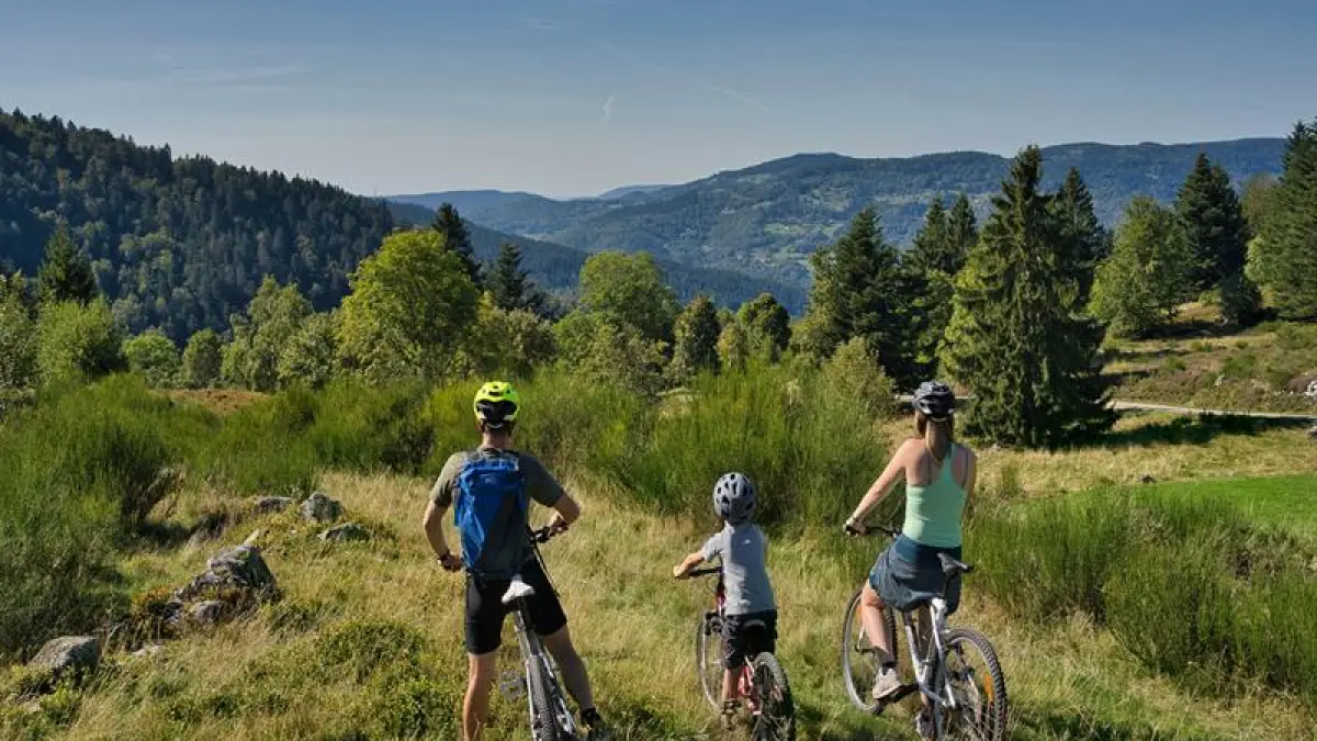 Circuit vtt n°1 (bleu) la Ronde Bruche