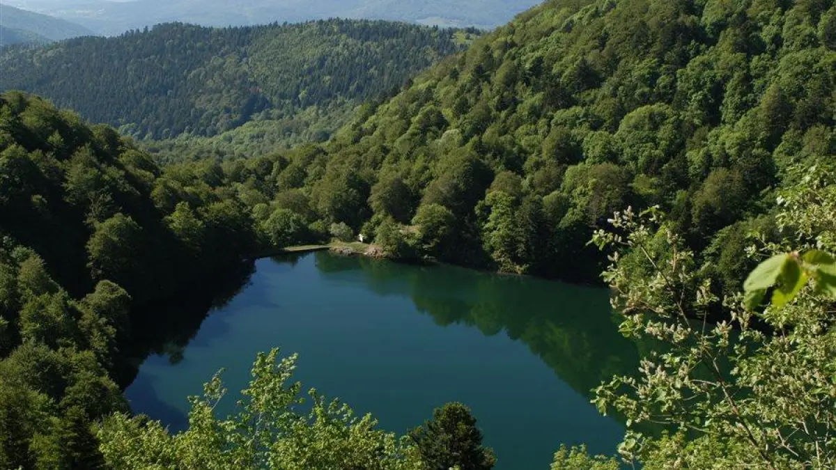 Pêche au lac des Perches