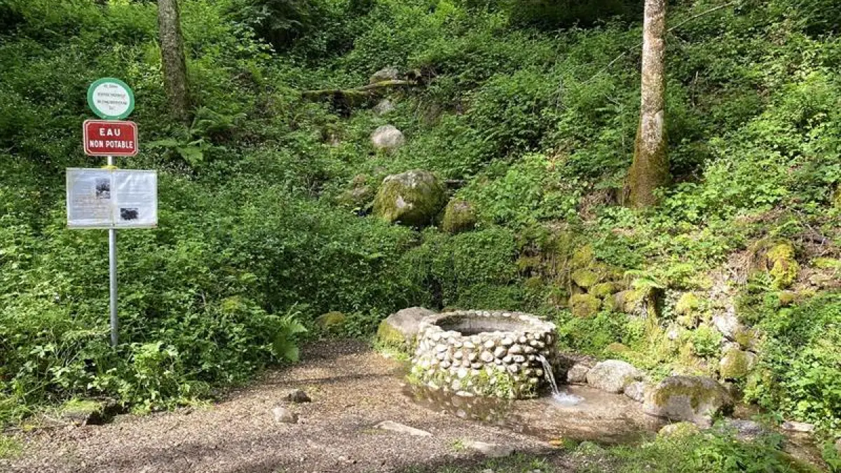 Source de chaudefontaine