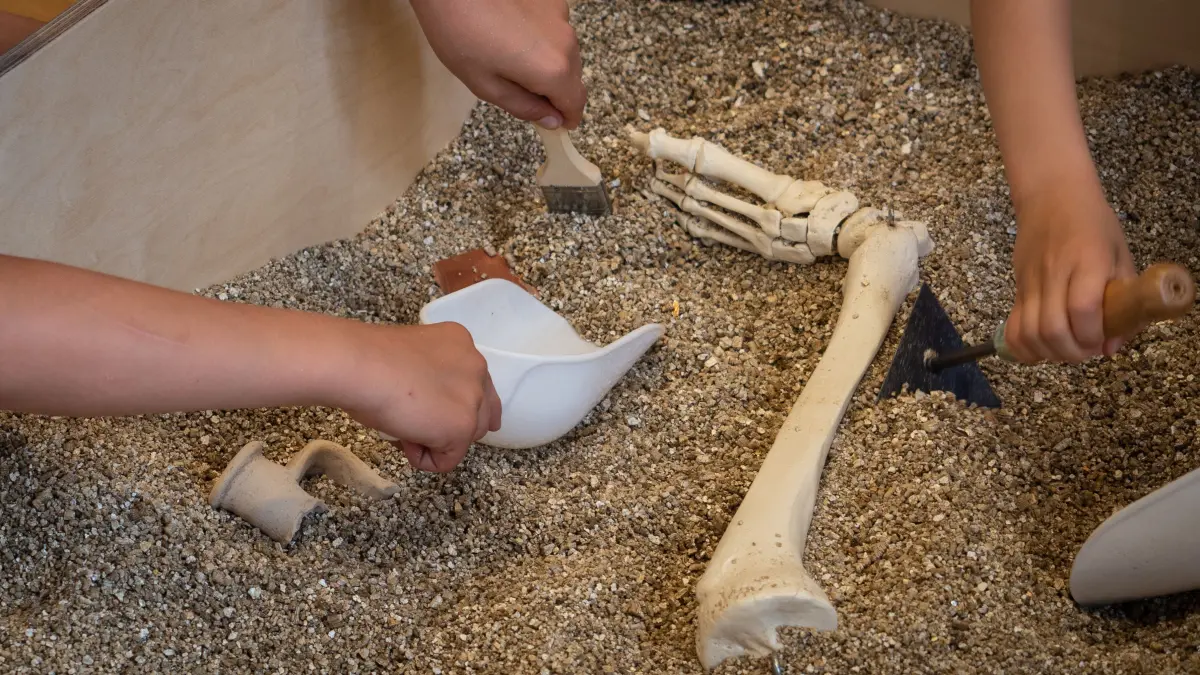 Visite de l'&cclesia et atelier de fouille archéologique