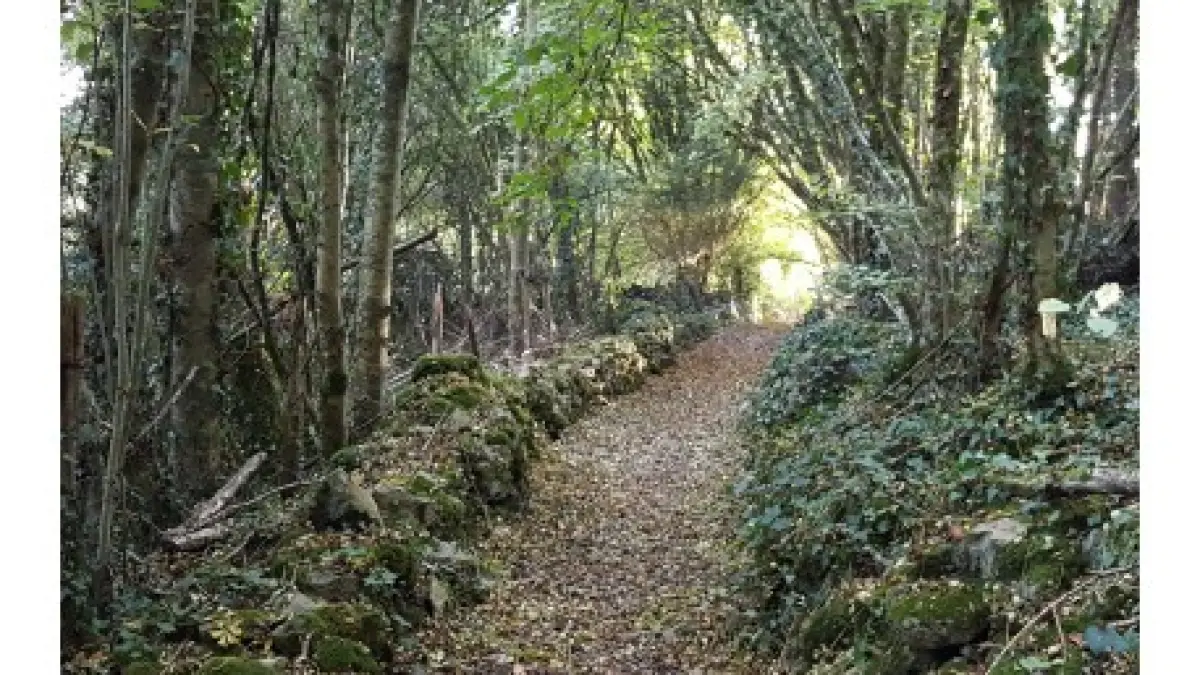 Base VTT du Lambon / Itinéraire vtt n°4 - L'Hermitain