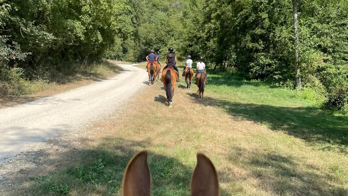 Centre Equestre de Beausoleil