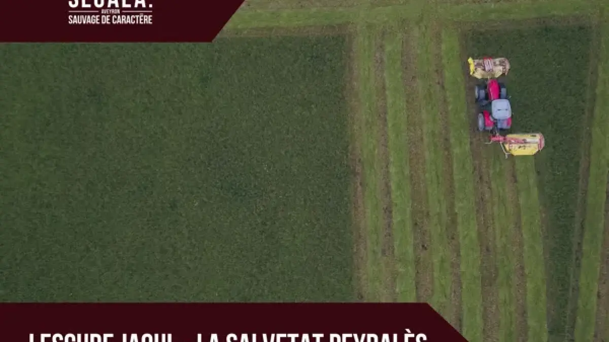 circuit de liaison VTT VAE - Lescure Jaoul  /  La Salvetat Peyralès