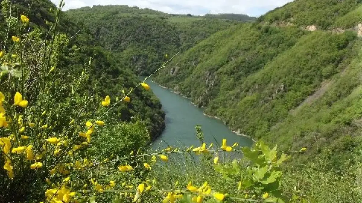 Le Clos d'Edouard