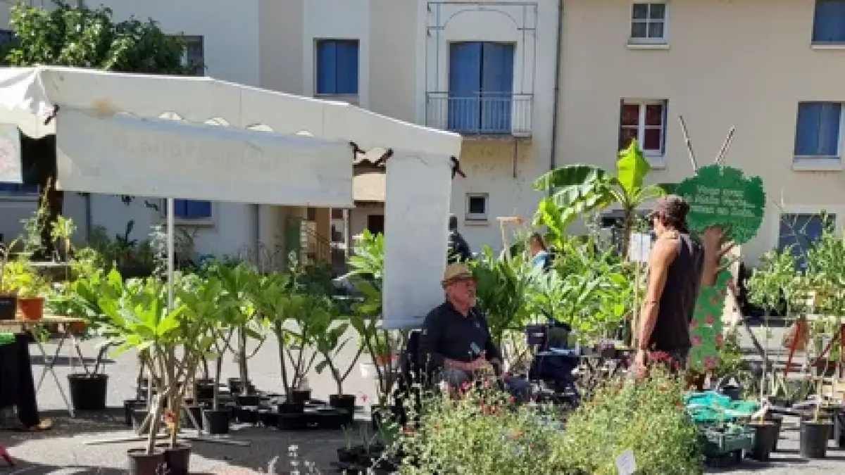 10ème Foire aux Plantes
