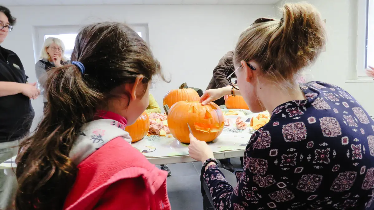 Les Ateliers enfants : Creuse ta citrouille en collaboration avec l'EARL de la Nouère