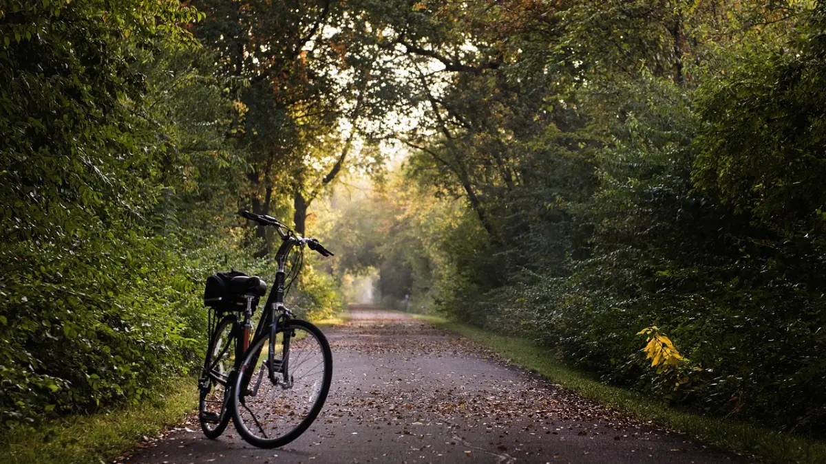 Bella'Cycles - Location de vélos à assistance éléctrique
