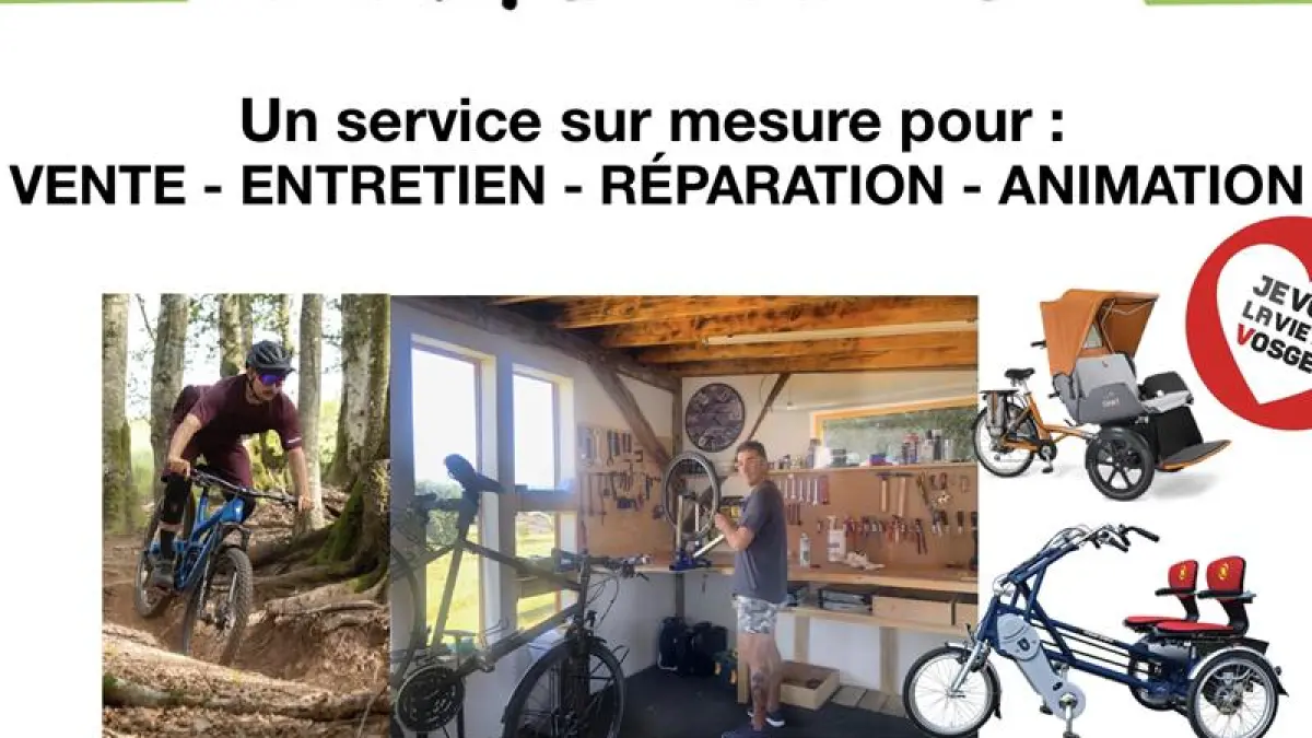 Ergo vélo