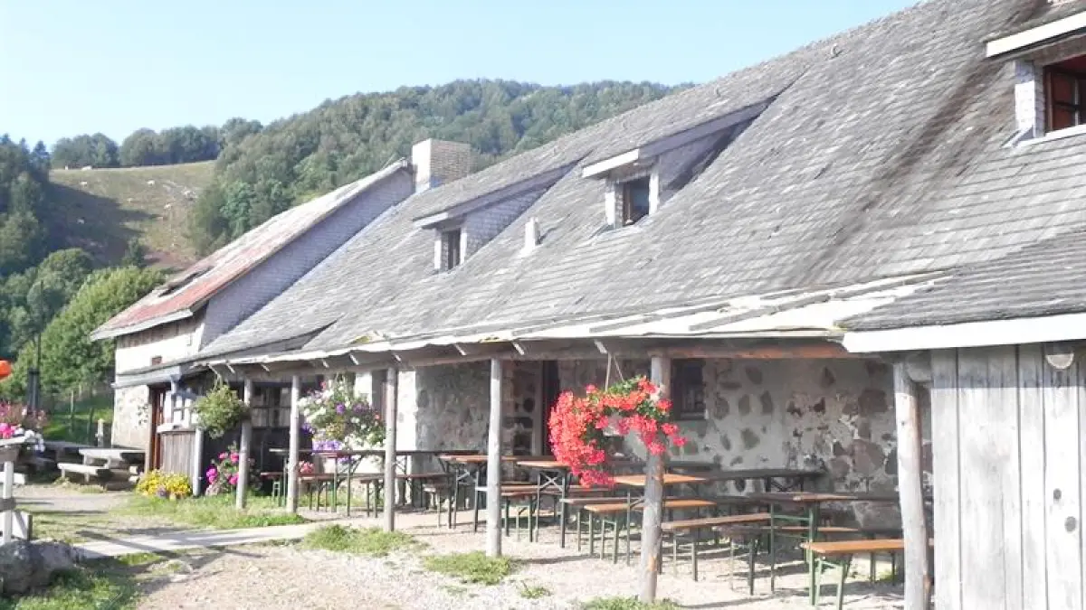 Balade auberge du Gsang : un paysage pastoral unique dans les Vosges du sud