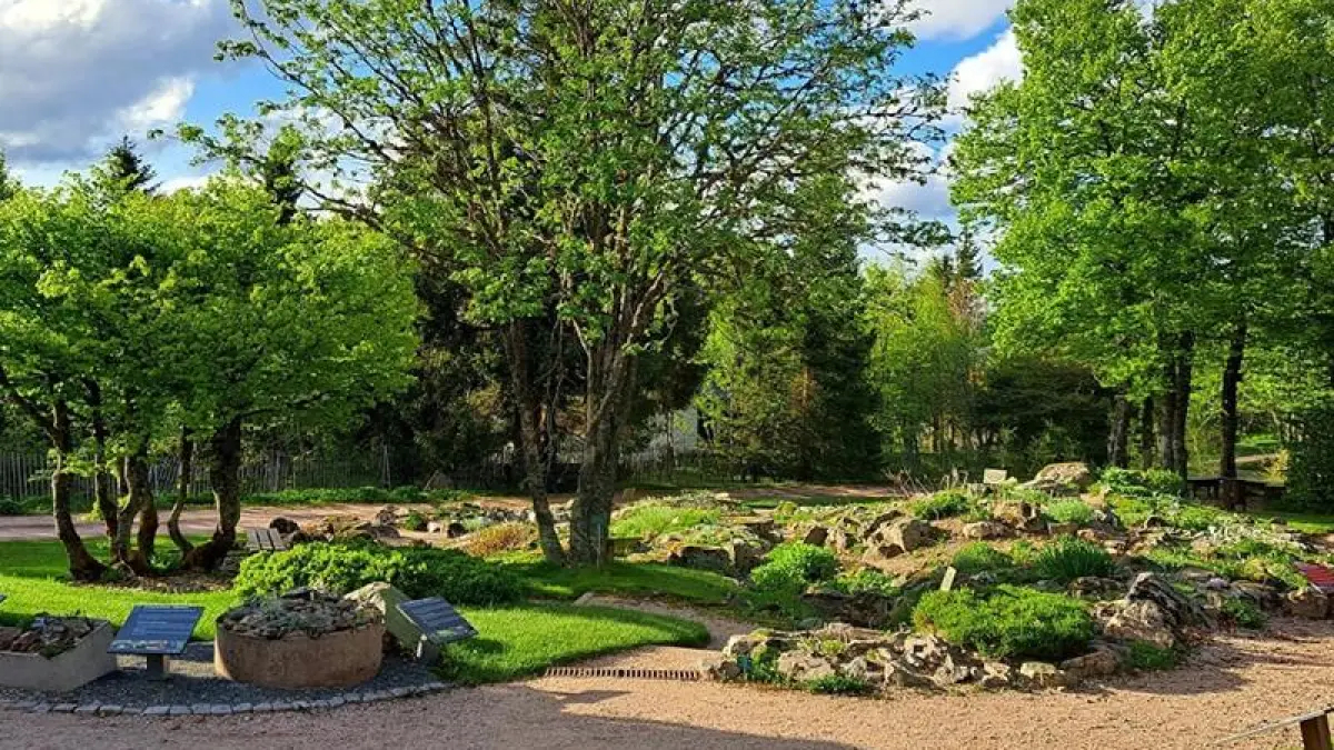 Jardin d'altitude du Haut Chitelet
