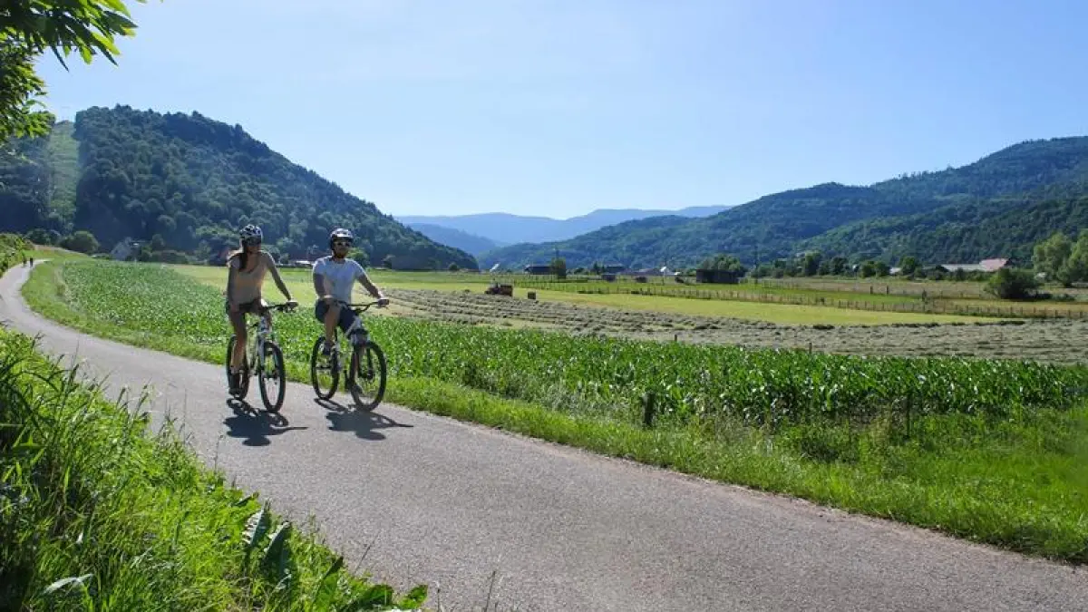 Parcours Cyclo : Boucle des Cigognes