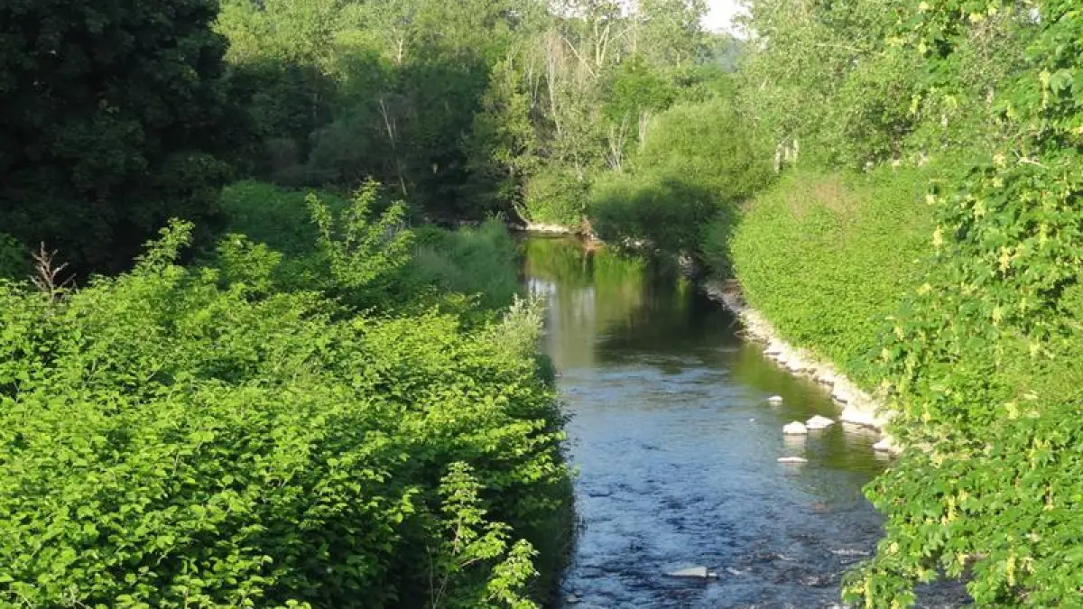 Marche santé Sentheim, sentier de la Doller