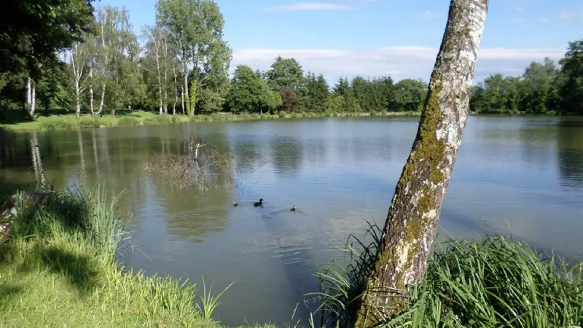 APPMA Balschwiller étang St Pierre