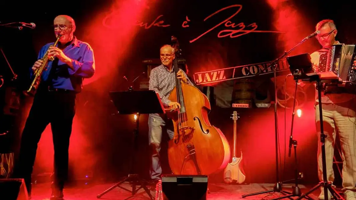 MUSICOLORIS TRIO : WORLD MUSIC