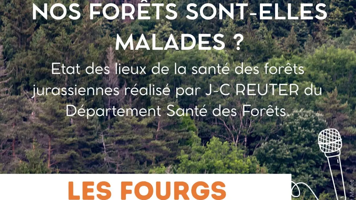 Les forêts d'altitude, des forêts de liens : expo et conférence