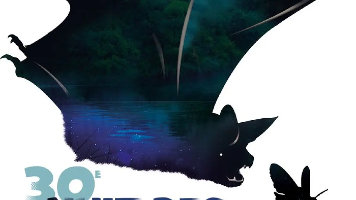 La Nuit des chauves-souris