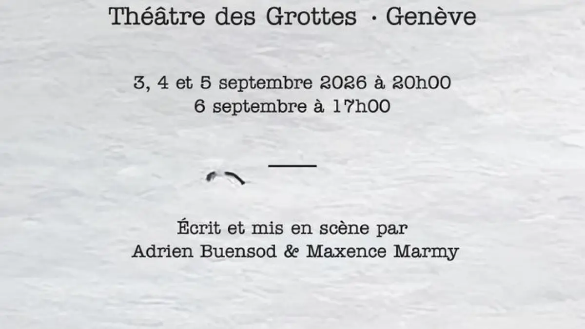 Le vol des mouettes