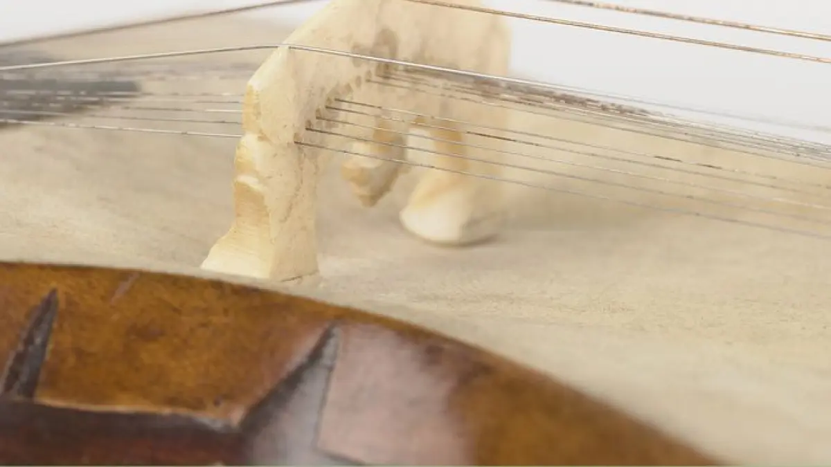 Clés de découverte des musiques et danses d'Inde du Nord | Instruments à cordes et lutherie en Inde du Nord