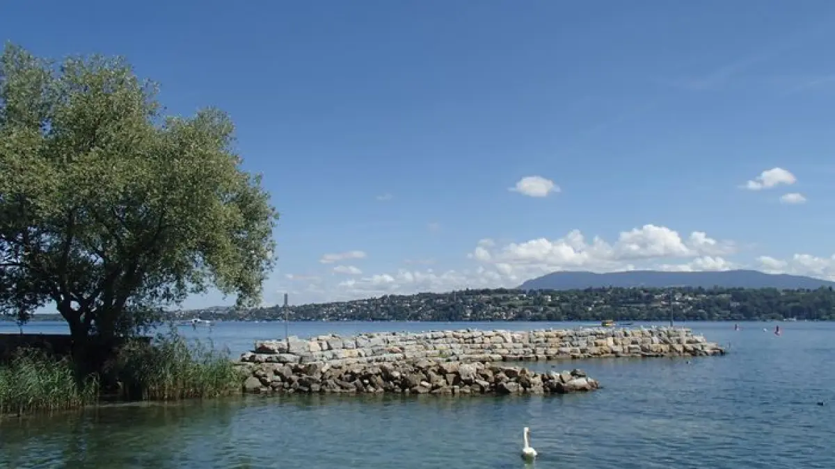 Lecture du paysage et histoire du Léman en balade au bord du lac