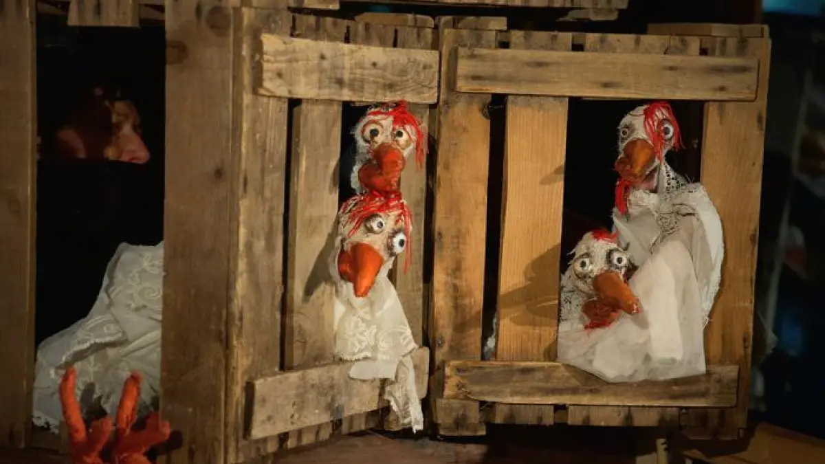 La zone nono - Rencontre coulisses