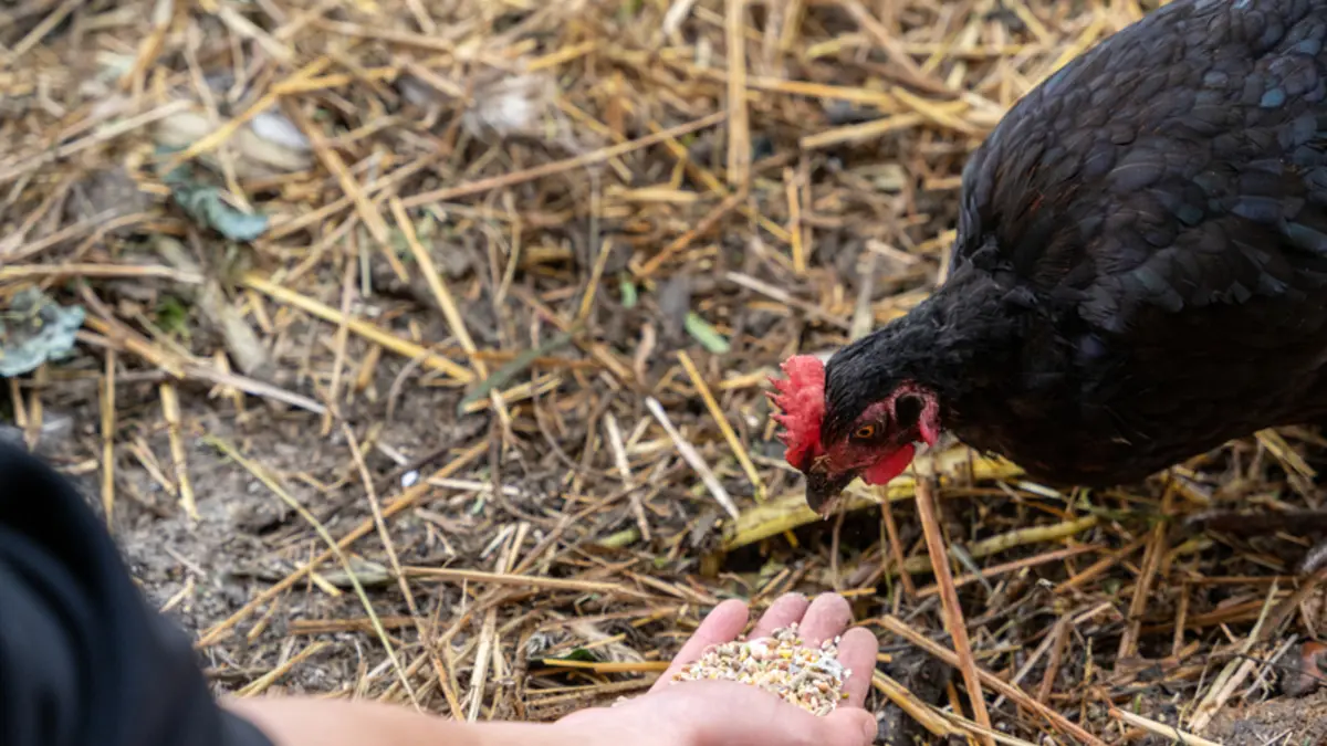 Soigneur d'un jour à la ferme pédagogique René Binet (18e)